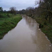 Lavaca River after a good rain (usually it looks like a big stream)